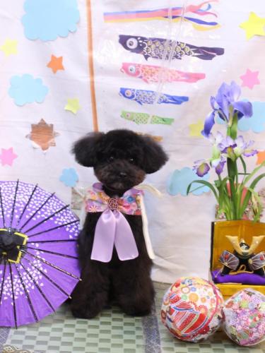 20240530コアくん